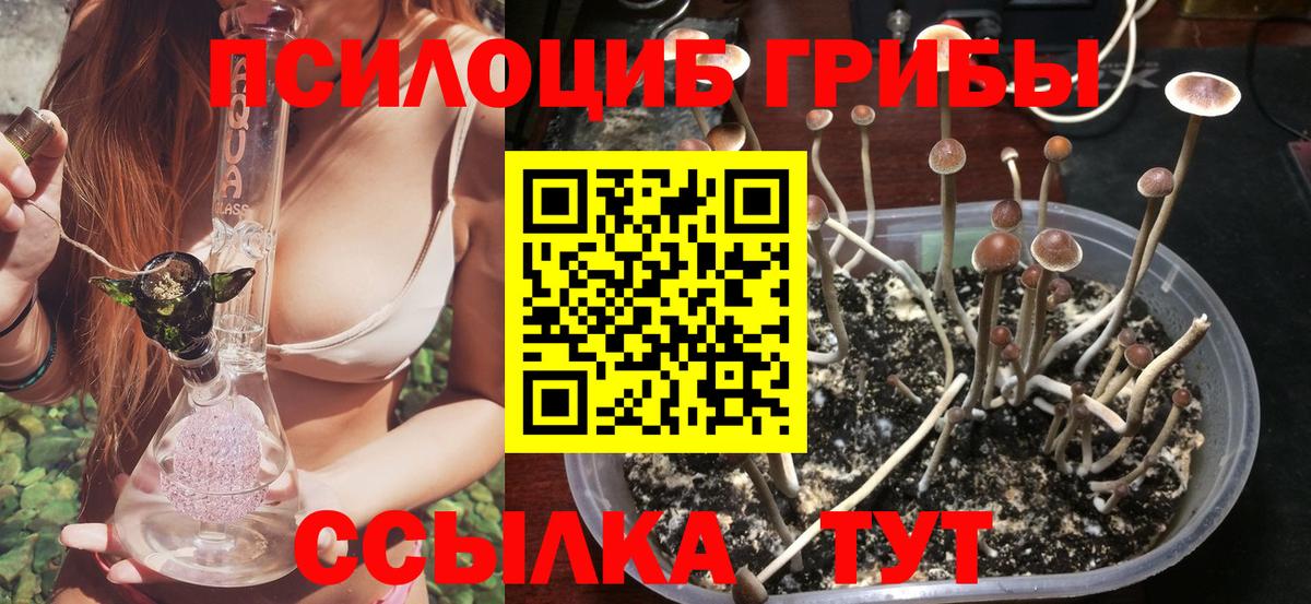 Галлюциногенные грибы прущие грибы Мелеуз